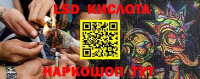 ПСИЛОЦИБИНОВЫЕ ГРИБЫ Коммунар