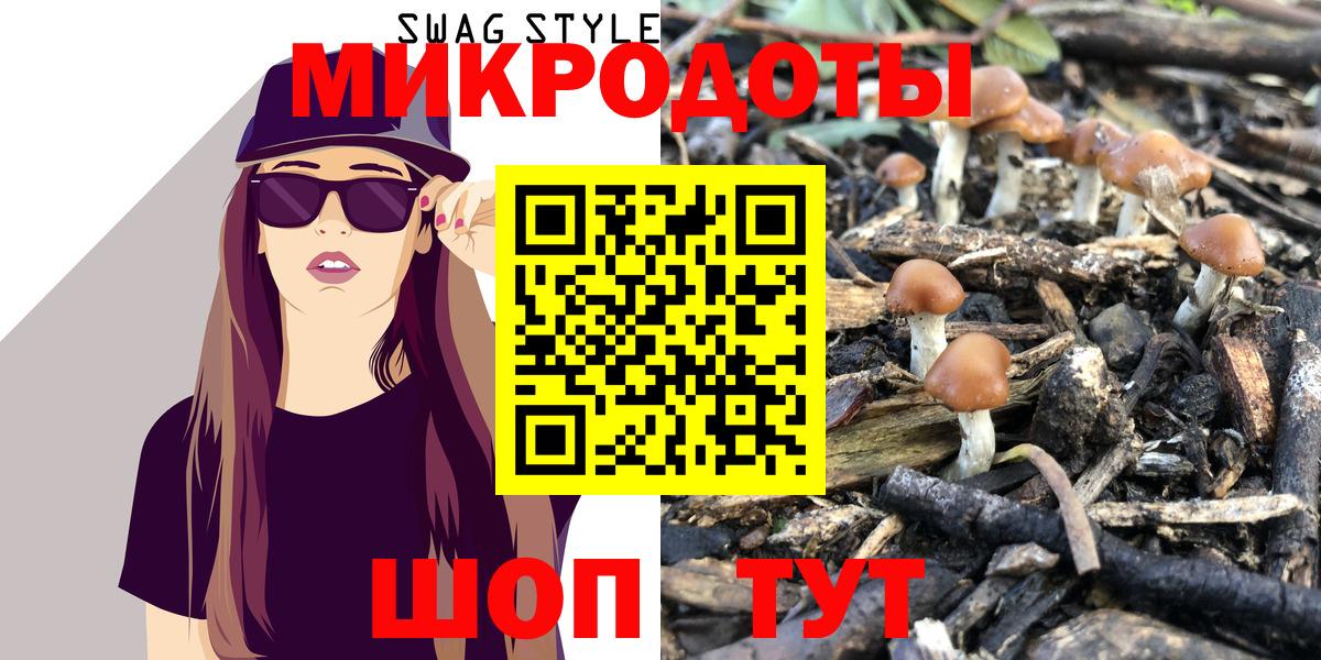 Галлюциногенные грибы Psilocybe Коряжма