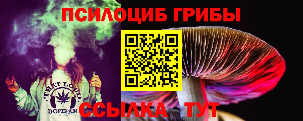Коряжма  Псилоцибиновые грибы MAGIC MUSHROOMS  Вход с VPN 